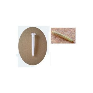 Difusor de feromona para polilla del olivo