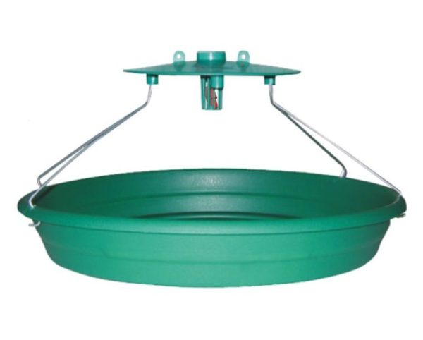 Trampa de AGUA para Tuta absoluta