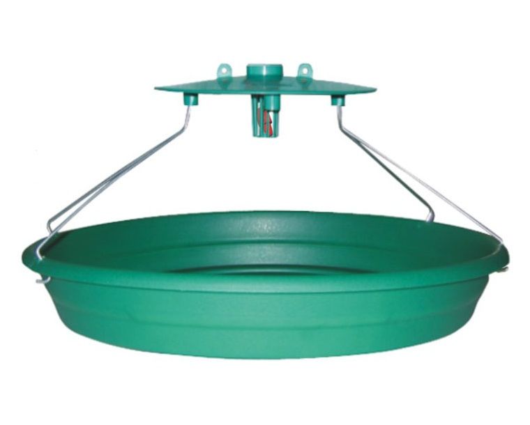 Trampa de AGUA para Tuta absoluta