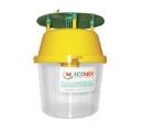Trampa polillero FUNNEL para lepidópteros