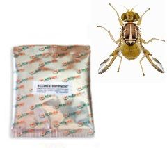 Atrayente TRYPACK mosca de la fruta