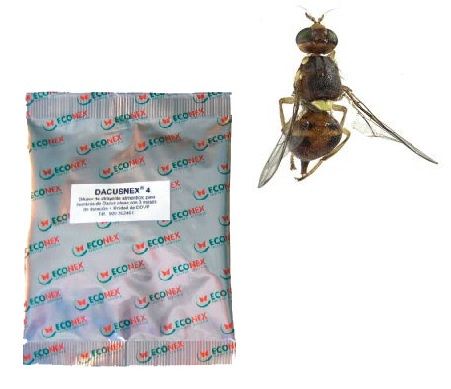 Atrayente + insecticida DACUSNEX 4 para mosca del olivo