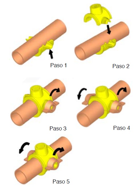 Collarin soloman tavlit