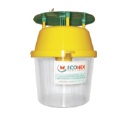 Trampa Polillero funnel