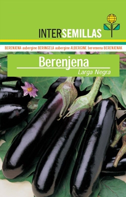 Berenjena Larga negra