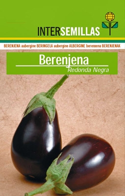 Berenjena Redonda negra
