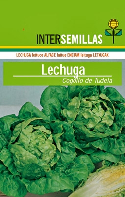 Lechuga Little gem (tipo Cogollo de Tudela), 500g
