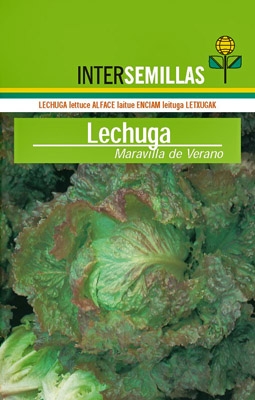 Lechuga Maravilla de verano, 500g