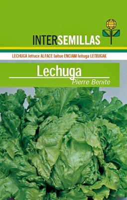 Lechuga Pierre Benite, 500g