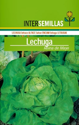 Lechuga Reina de mayo, 500g