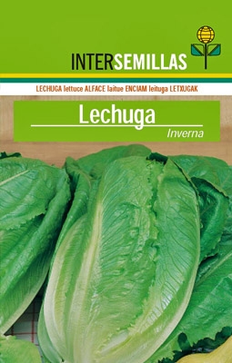Lechuga Inverna, 500g