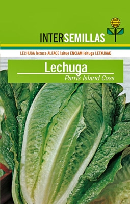 Lechuga Parris Island Coss, 500g