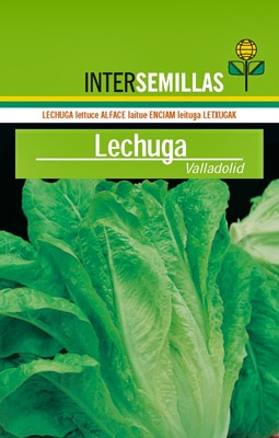 Lechuga Valladolid, 500g