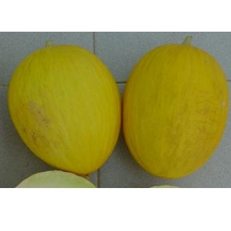 Melón amarillo Oro, 500g