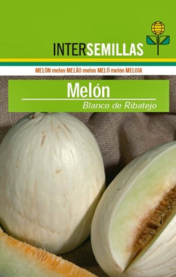 Melón Blanco de Ribatejo, 500g