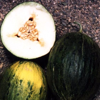 Melón Piel de sapo, 500g