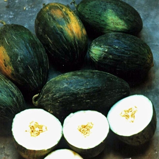 Melón Piel de sapo Requen, 500g