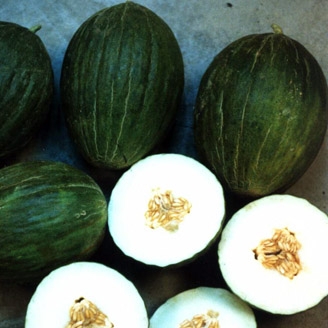Melón Rochet, 500g