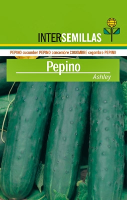 Pepino Ashley, 500g