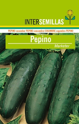 Pepino Marketer, 500g