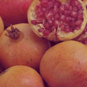 Granado variedad Tendral