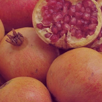 Granado variedad Tendral