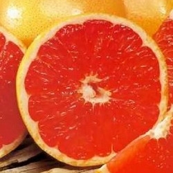 Pomelo variedad Star ruby
