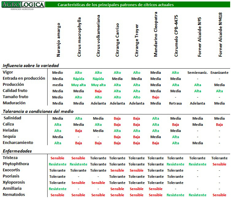 Tabla caracteristicas patrones citricos naranjo1