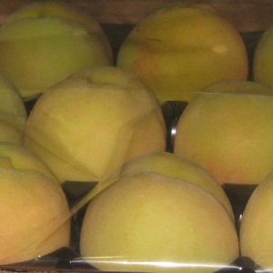 Melocotonero variedad Blanco