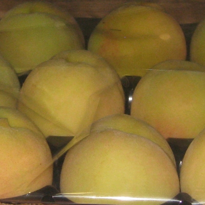Melocotonero variedad Blanco