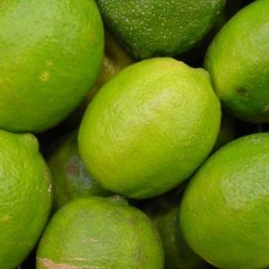 Lima variedad Bears