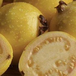 Guayaba limón