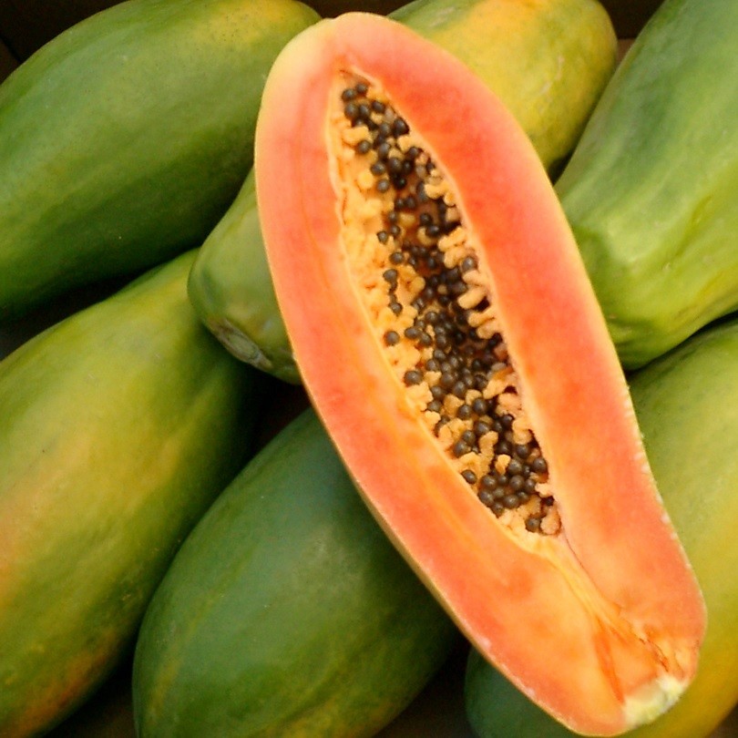 Papaya