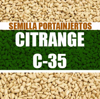 Citrange C-35
