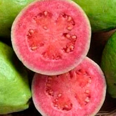 Guayaba rosa