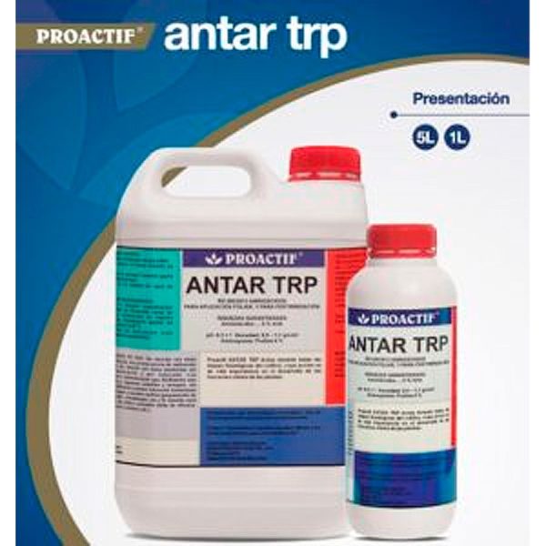 Proactif Antar TRP eco