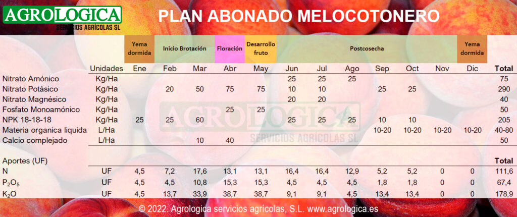 PLAN ABONADO MELOCOTONERO 1024x430 1