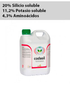 codasil silicio coda 248x300 1