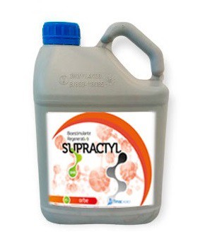 Supractyl Orbe cuajado boro