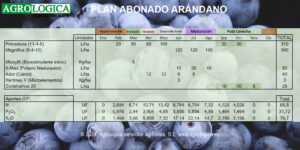 PLAN ABONADO ARANDANO 300x150 1 1