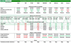 Tabla caracteristicas patrones manzano 1 1 300x184 1