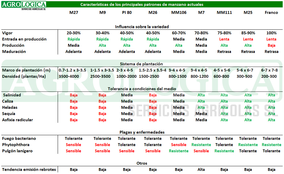 Tabla caracteristicas patrones manzano 1 1