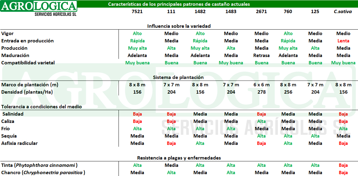 Tabla caracteristicas patrones castano