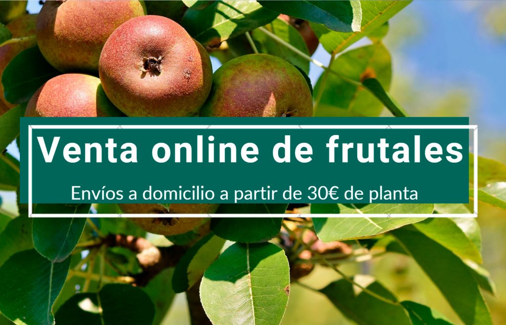 venta online frutales